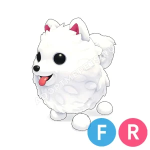 Samoyed