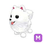 Samoyed