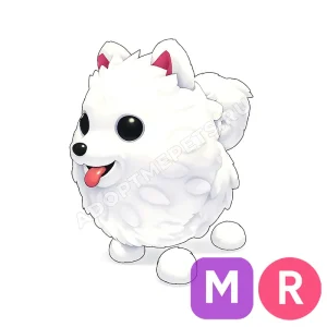 Samoyed