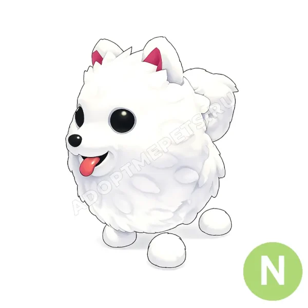 Samoyed