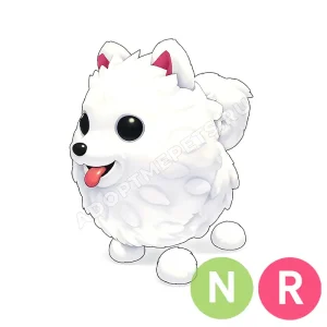 Samoyed