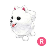 Samoyed