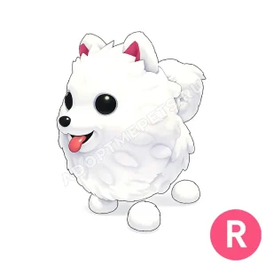 Samoyed