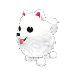 Samoyed