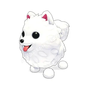 Samoyed