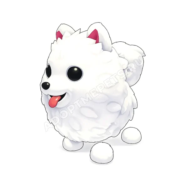 Samoyed