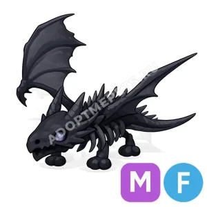 Shadow Dragon