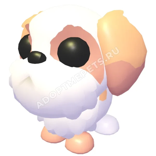 Shih Tzu