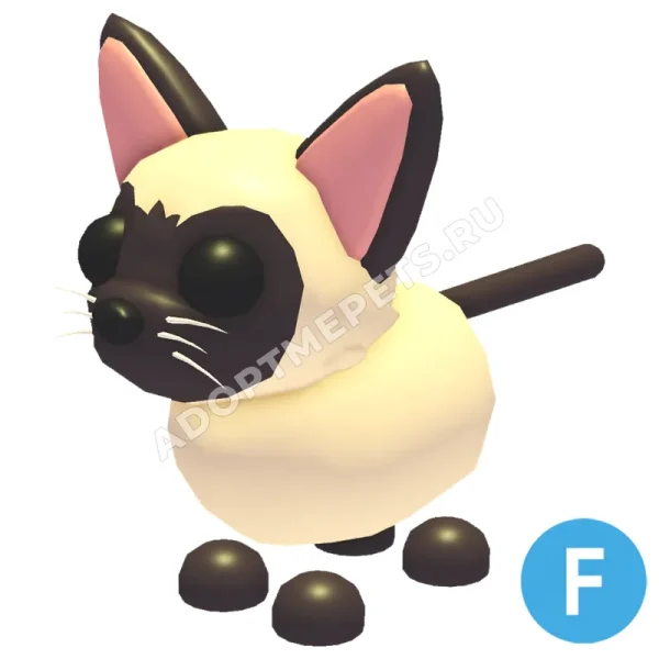 Siamese Cat