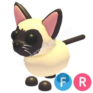 Siamese Cat