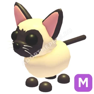Siamese Cat