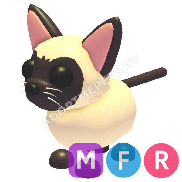 Siamese Cat