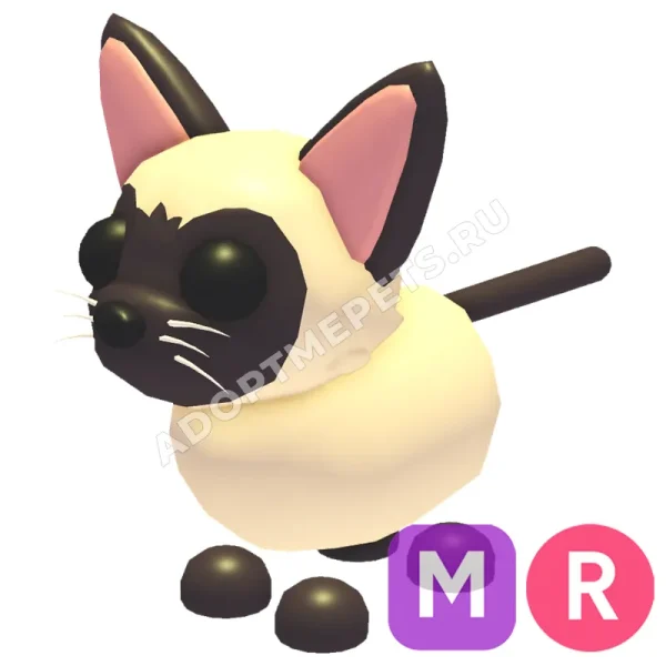 Siamese Cat