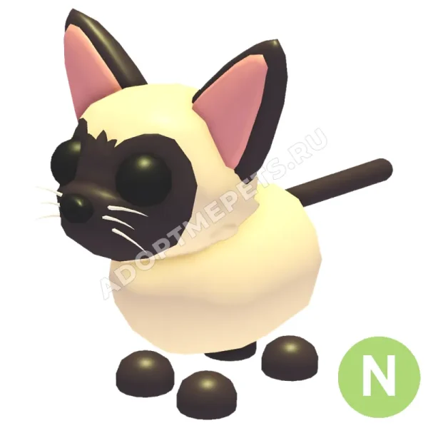 Siamese Cat