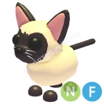 Siamese Cat