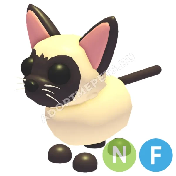 Siamese Cat