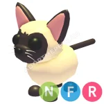 Siamese Cat