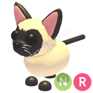 Siamese Cat
