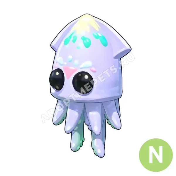 Squid
