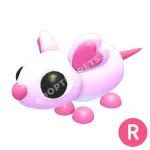 Sweetheart Rat
