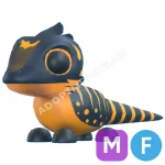 Tegu