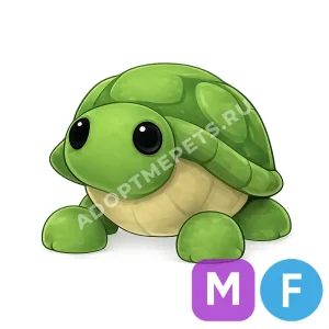 Turtle