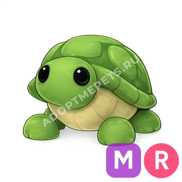 Turtle
