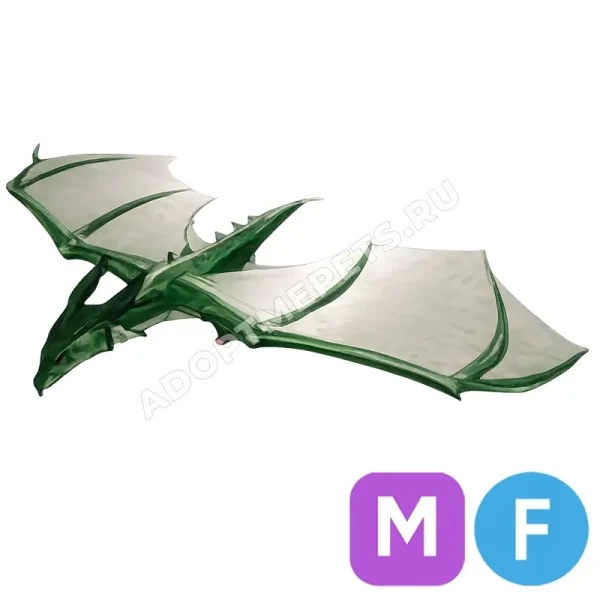 Wyvern