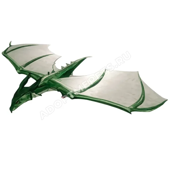 Wyvern