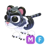 Black Tiger