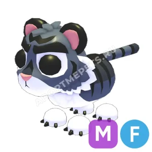 Black Tiger