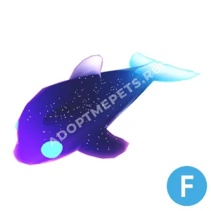 Glormy Dolphin