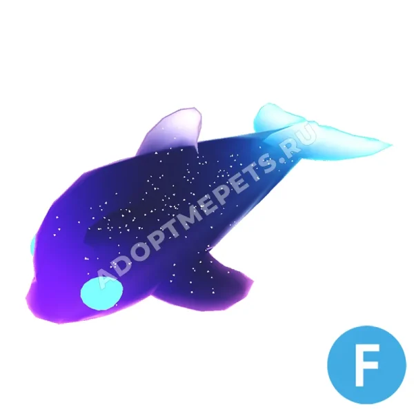 Glormy Dolphin