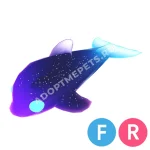 Glormy Dolphin
