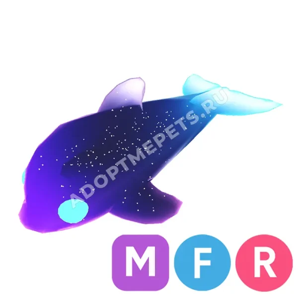 Glormy Dolphin