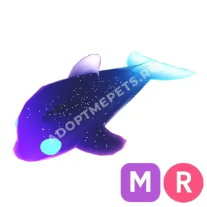 Glormy Dolphin