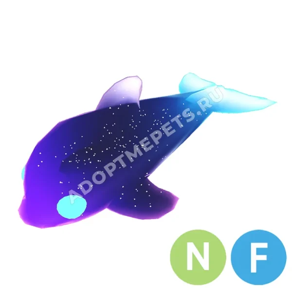 Glormy Dolphin