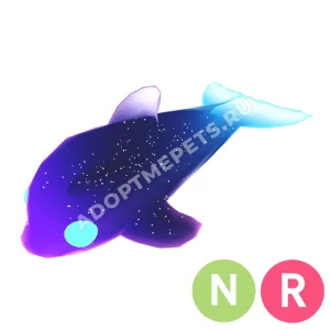 Glormy Dolphin