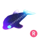 Glormy Dolphin