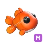 Goldfish