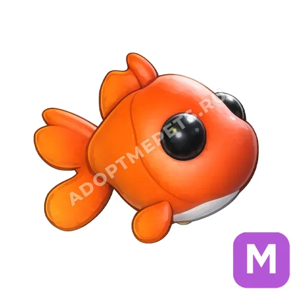 Goldfish