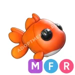 Goldfish
