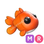 Goldfish