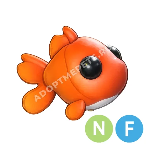 Goldfish