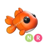 Goldfish