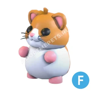 Hamster