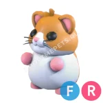 Hamster