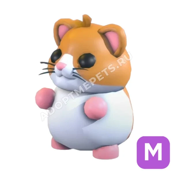 Hamster