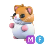 Hamster