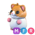 Hamster